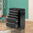 24.2'' W 5 -Drawer Steel Bottom Rollaway Chest with Wheels