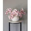 Phalaenopsis Orchidée Blanche 23 po-1877715662-1877715663