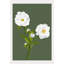 Plants & Flowers-1093014597