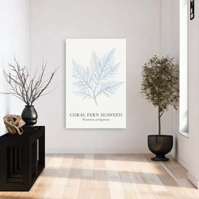 Blue Coral Fern Delicate Minimalist Organic Fern Coastal Nature Wall Art Print 1 Piece Wrapped Canvas Wall Art