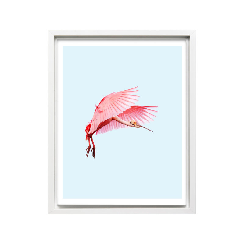 Flamant rose n ° 2, H 08 po x l 10 po, Canevas, Encadrement blanc