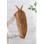 Assiette décorative en bois massif Batruk