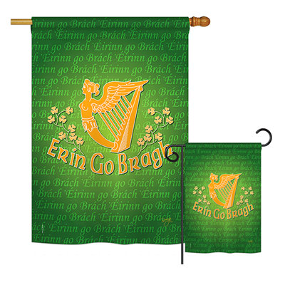 Double Sided 40'' H x 28'' W Polyester St. Patrick's Day Flag Set