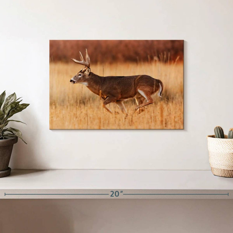 Brampt Running Buck, 8" H x 12" W