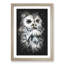 Tawny Owl - Framed Print-56742824-56742826