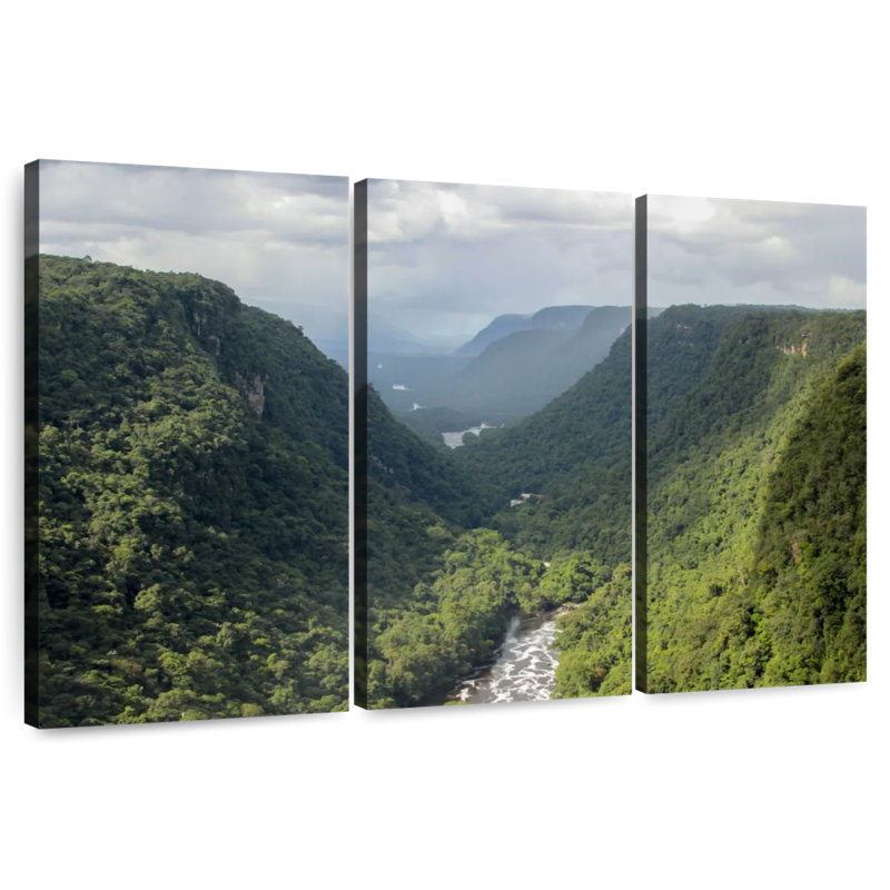 Alvord Misty Guyana Jungle, 48" H x 74" W