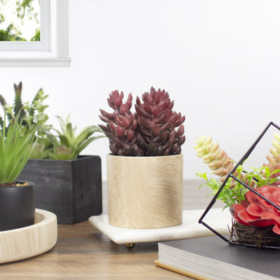 Plante grasse artificielle mauve en pot 7 po 7 po