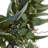 Faux Eucalyptus Polyester 24'' Wreath