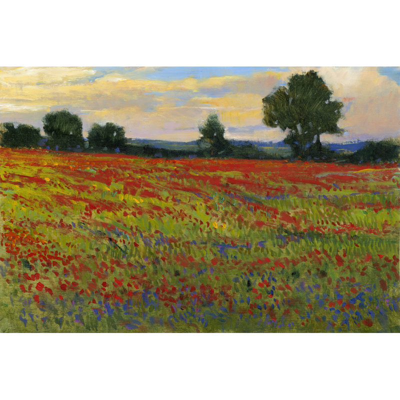 Field II 1 Piece Wrapped Canvas Wall Art, 81cm H x 122cm W x 3.8cm D