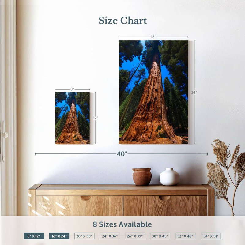 Alvord Towering Sequoia Tree, 12" H x 8" W