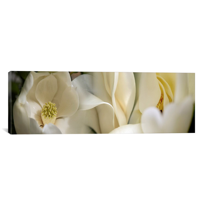 « magnolia florals », reproduction de photo sur toile, H 16 po x l 48 po x P 1,5 po, Toile tendue
