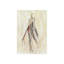 Beau Monde II Print by Elena Carlie-26947207-26947209