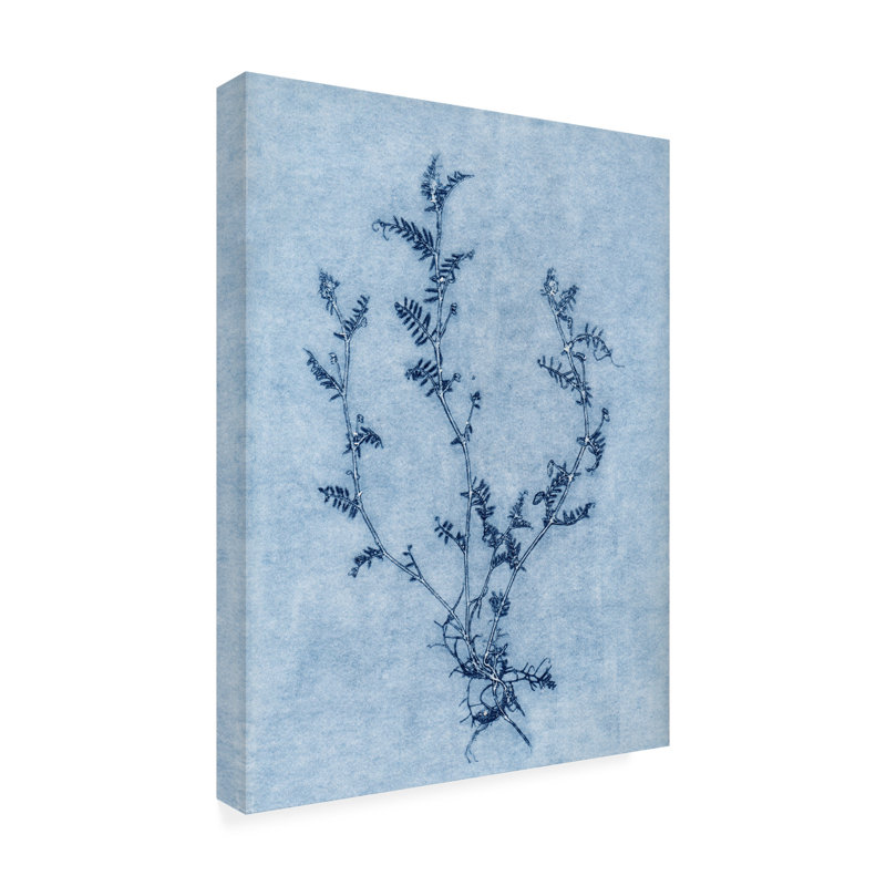 Floral bleu ciel Vicia, H 19 po x l 14 po x P 2 po