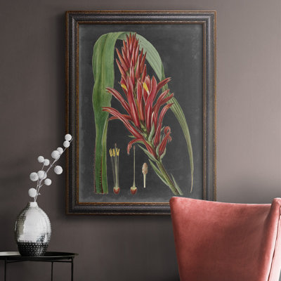 Dramatic Tropicals II " Dramatic Tropicals II "