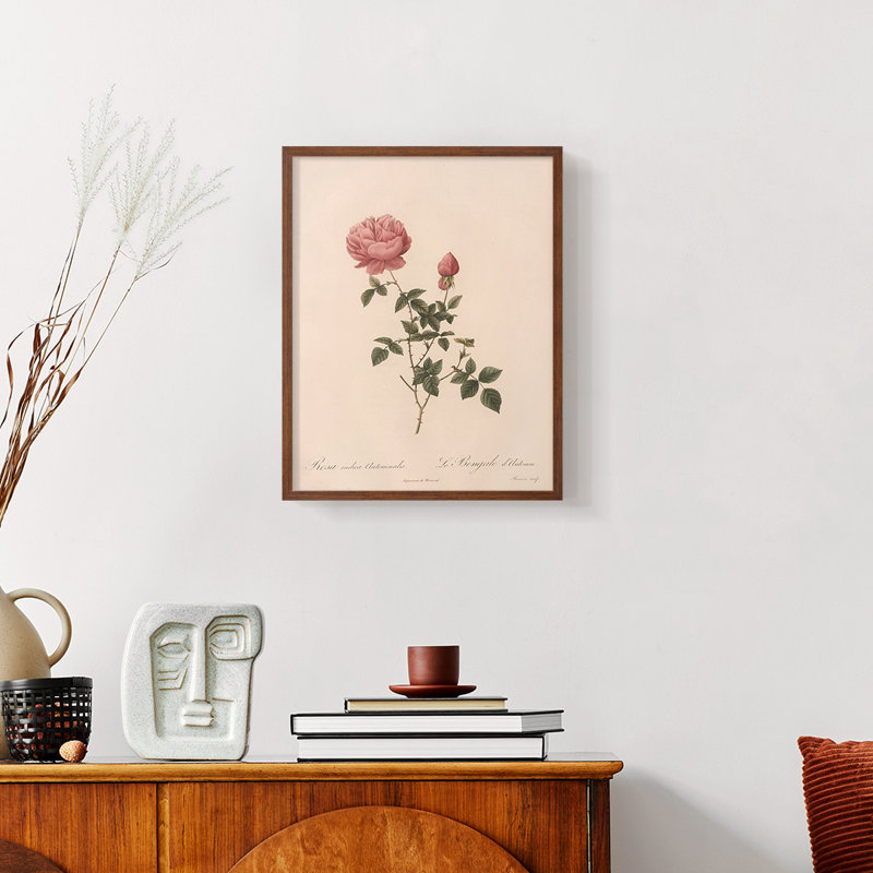 «Vintage Floral Print CXL III» sur papier, Noyer, H 14 po x l 11 po