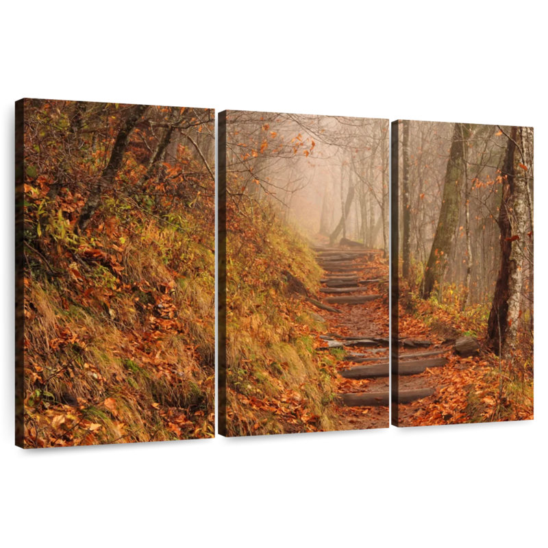 Alvord Misty Autumn Appalachian Trail, 28" H x 45" W