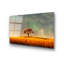 Boze Wall Decor