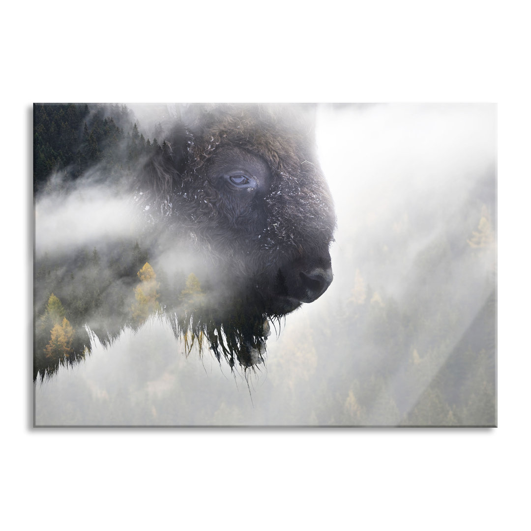 Glasbild Wildes Bison in nebeligem Wald