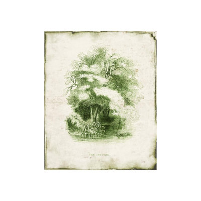 Zoey Riley " Evergreen V " by Zoey Riley