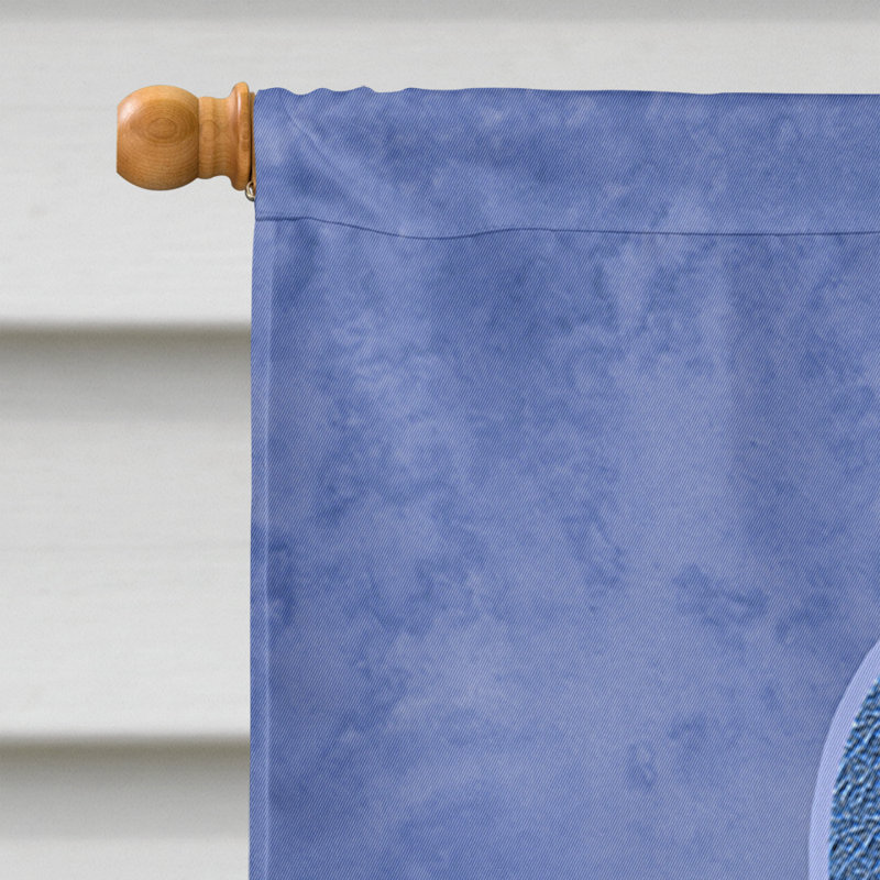 Double Sided 40'' H x 28'' W Polyester House Flag