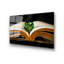 Boze 1 Piece Wall Art on Glass