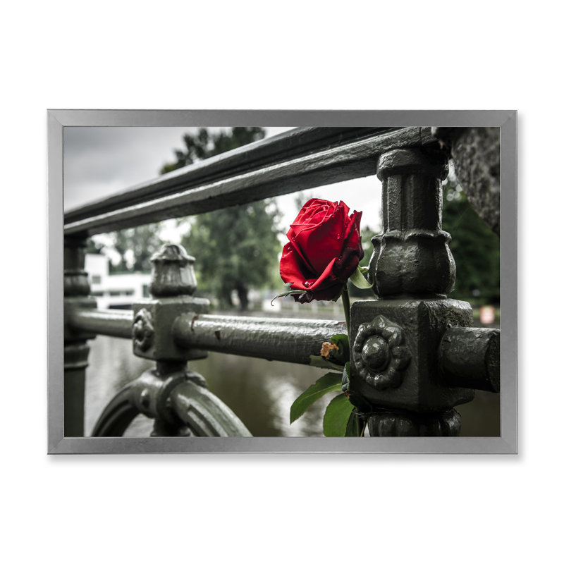 Rose rouge sur un pont - photographie sur toile encadrée, H 30 po x l 40 po x P 1,5 po, Cadre photo argenté