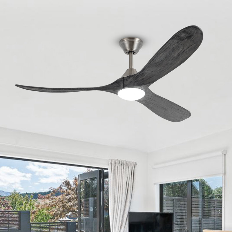 Christela Netrapal Ceiling Fan with LED Lights, 52"