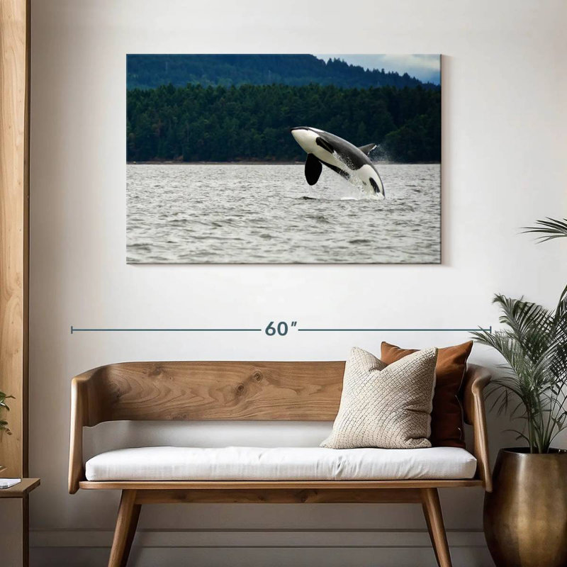 Crowle Orca Jumping, 30" H x 45" W