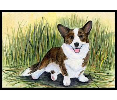 Tiawah Non-Slip Outdoor Doormat