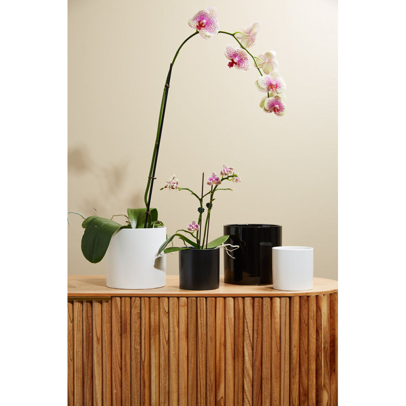Jardinières en pot, H 4,25 po x l 4,25 po x P 4,25 po, Noir