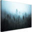 Forest In The Fog - No Frame Print on Canvas