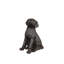 Dog Labrador Metal Garden Statue