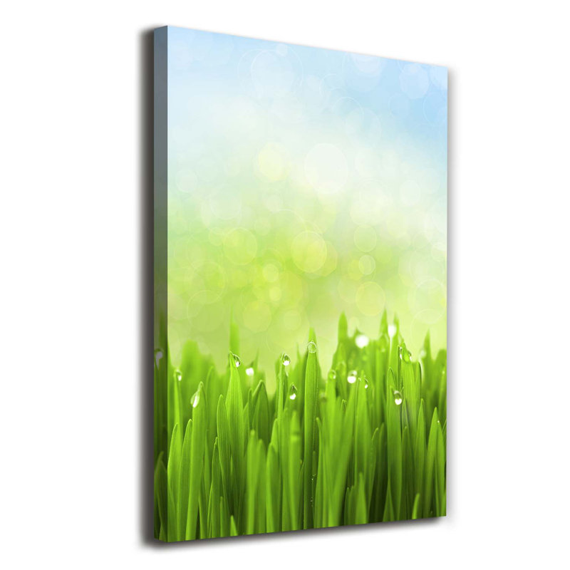Grass - Wrapped Canvas Print