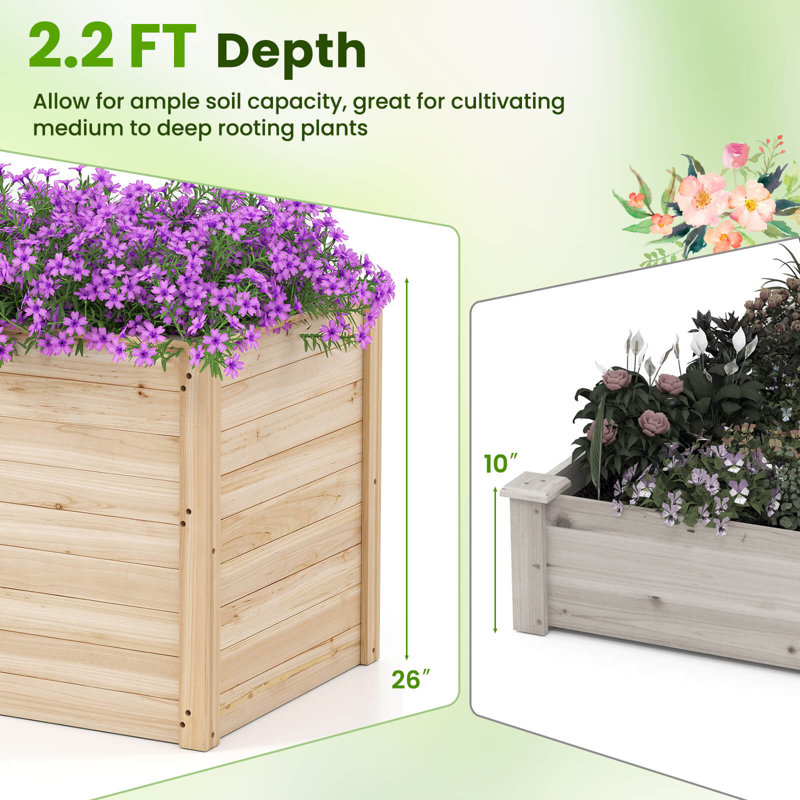 Boîte à fleurs surélevée avec base ouverte pour légumes à racines profondes, 1