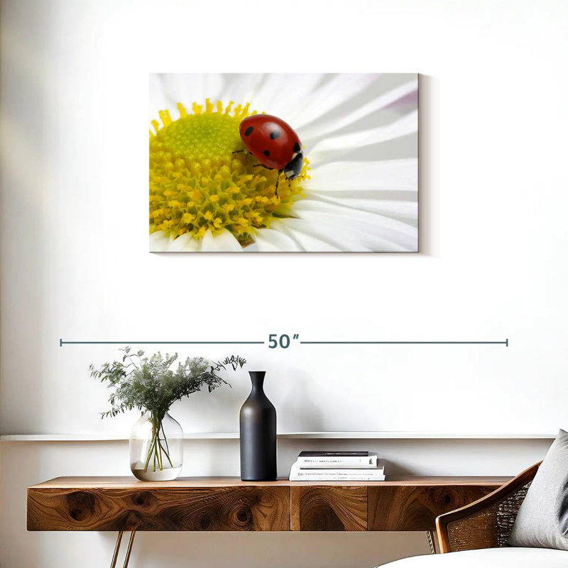 Coccinelle sur camomille, H 20 po x l 30 po