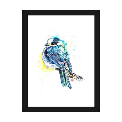 " Canada Jay " by Lisa Whitehouse