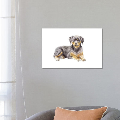 Rottweiler Puppy 1 Piece Wrapped Canvas Painting