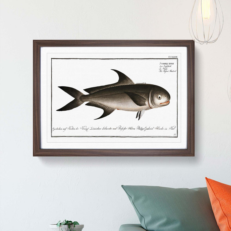 Black Mackerel Fish by M.E. Bloch - Picture Frame Graphic Art Print, 27cm H x 36cm W x 2cm D, Walnut Framed