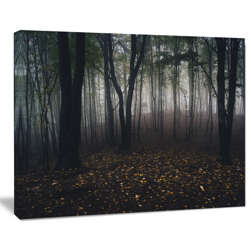 «Dark Spooky Misty Wild Forest», reproduction de photo, H 30 po x l 40 po x P 1,5 po, Toile tendue