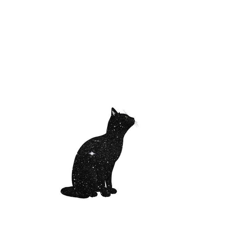 Cats II by Kiki C Landon - Wrapped Canvas Print, 101.6 cm H x 66.04 cm W
