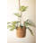  Indoor Hanging Planter Basket – Natural Seagrass – 7.5"H, Set Of 6