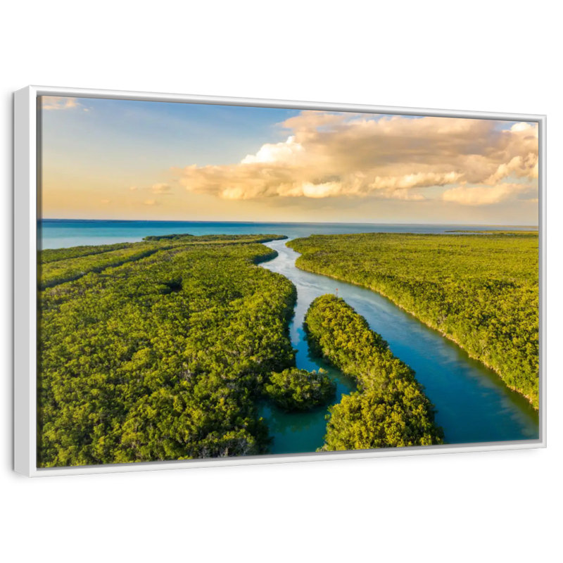 Parc national des Everglades, Cadre flottant blanc, 31 po x 21 po
