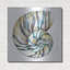  «Aquarelle Shells 2» par Chariklia Zarris, art mural en métal, 36 po x 36 po-748615759