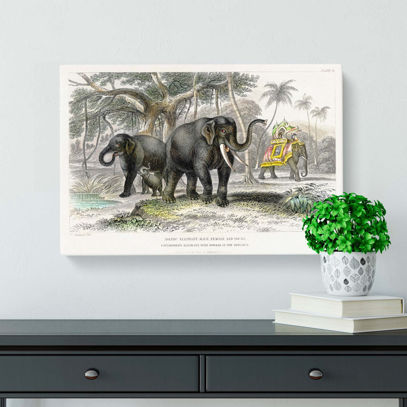 Asian Elephants by Oliver Goldsmith - Wrapped Canvas Painting, 35cm H x 50cm W x 3cm D