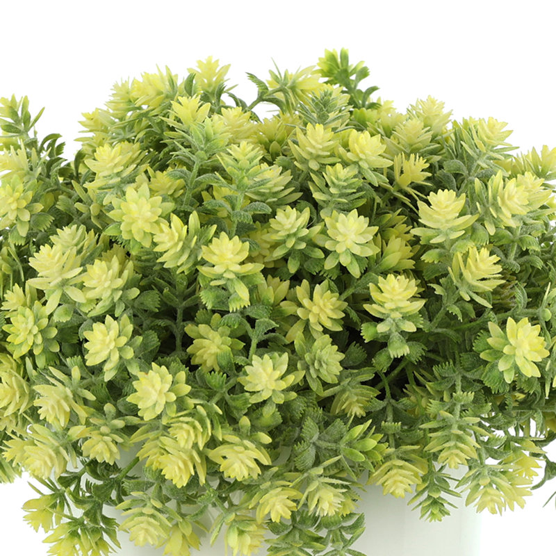Sedum Arrangement in Fiberstone Pot