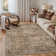 Machine Washable Vintage Floral Area Rug With Non-Slip Rubber Backing