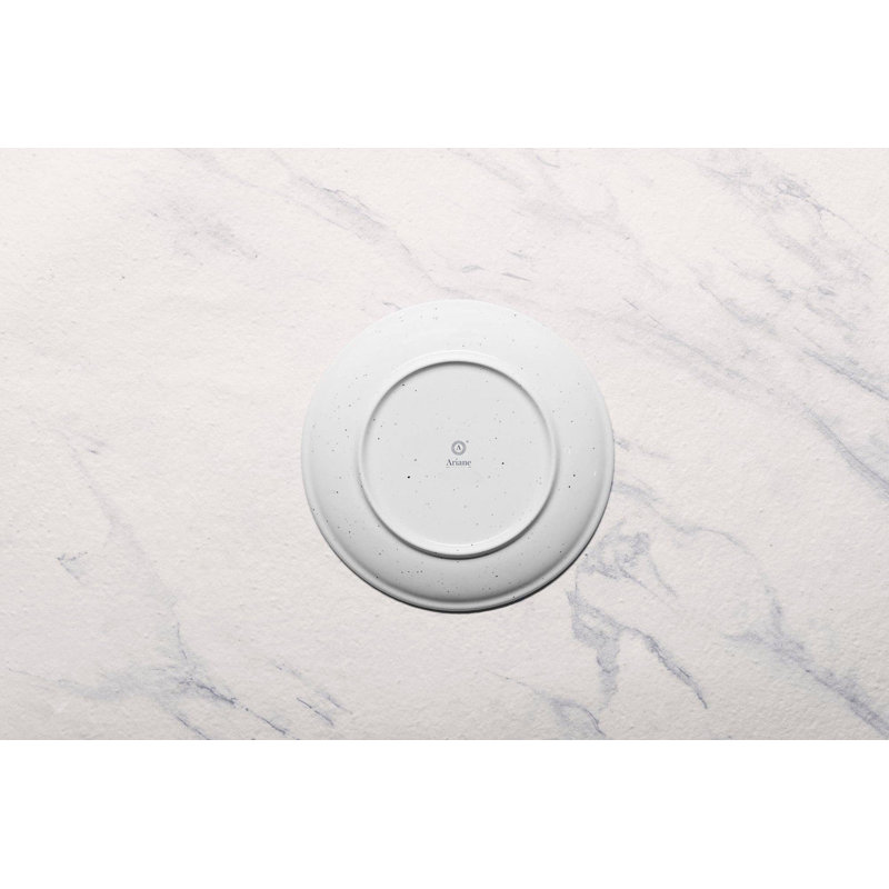 Assiette ronde sans rebord TERRA ARENA Premium Porcelain Vital Coupe, 8,27 po x 8,27 po x 0,91 po