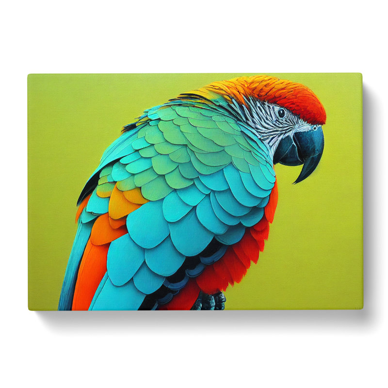 Colourful Parrot Vol.2 - Wrapped Canvas, 40cm H x 60cm W x 3cm D