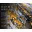 Golden Reflections Hand-Embellished Gold Abstract Wrapped Canvas Wall Art-128837581