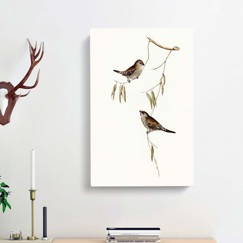Plain-Coloured Finch by Elizabeth Gould - Wrapped Canvas, 50cm H x 35cm W x 3cm D